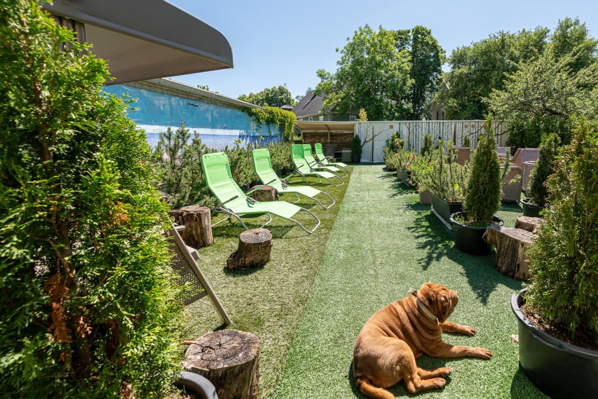 Garden Camping Таллин Экстерьер фото